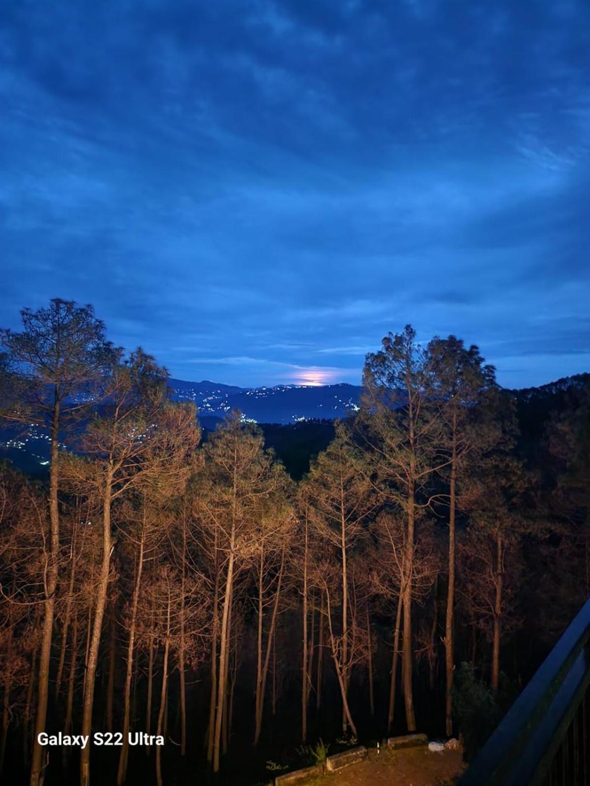 Nandini Cottage, A Premium Boutique Homestay Ranikhet Dış mekan fotoğraf