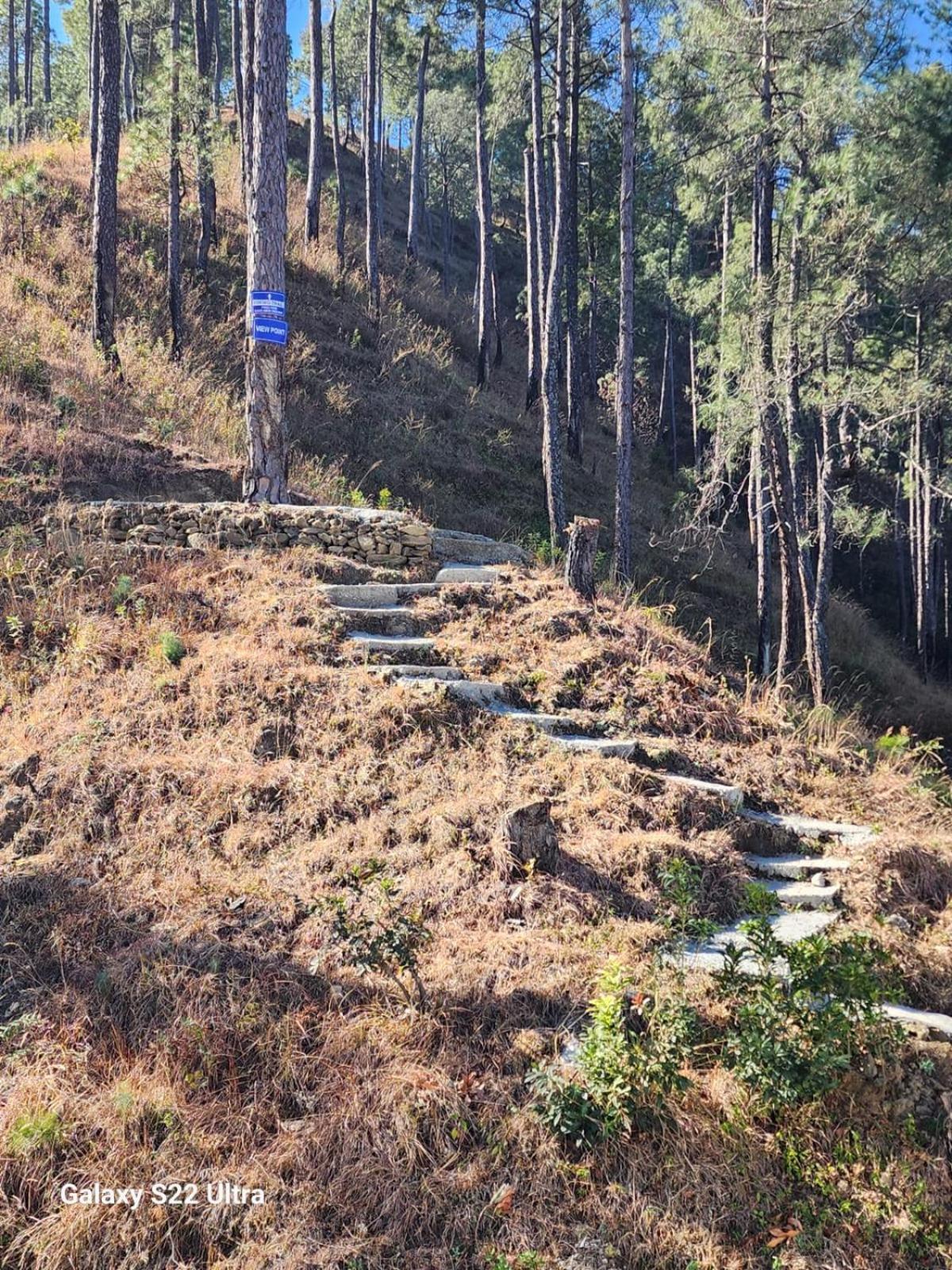 Nandini Cottage, A Premium Boutique Homestay Ranikhet Dış mekan fotoğraf