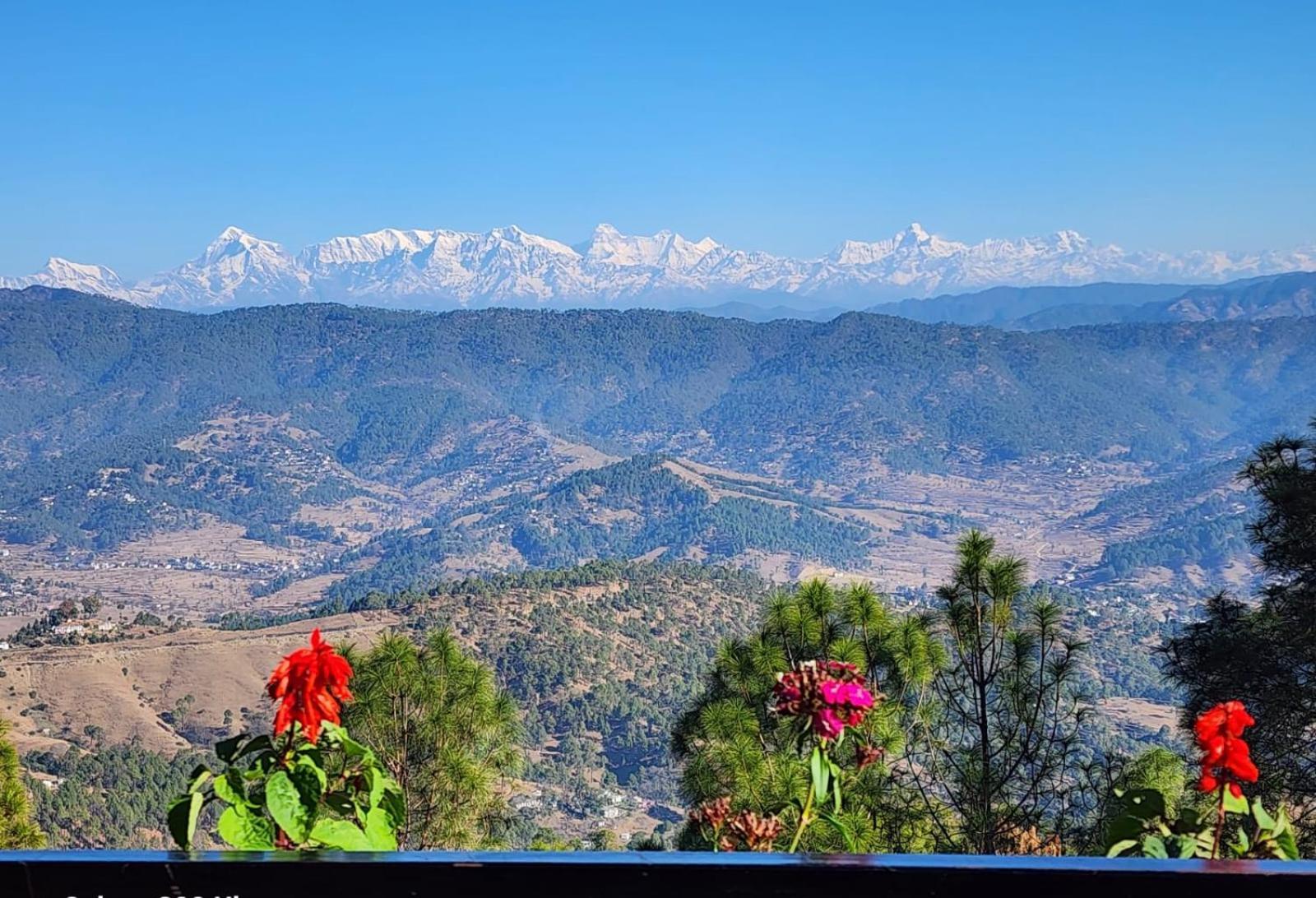 Nandini Cottage, A Premium Boutique Homestay Ranikhet Dış mekan fotoğraf