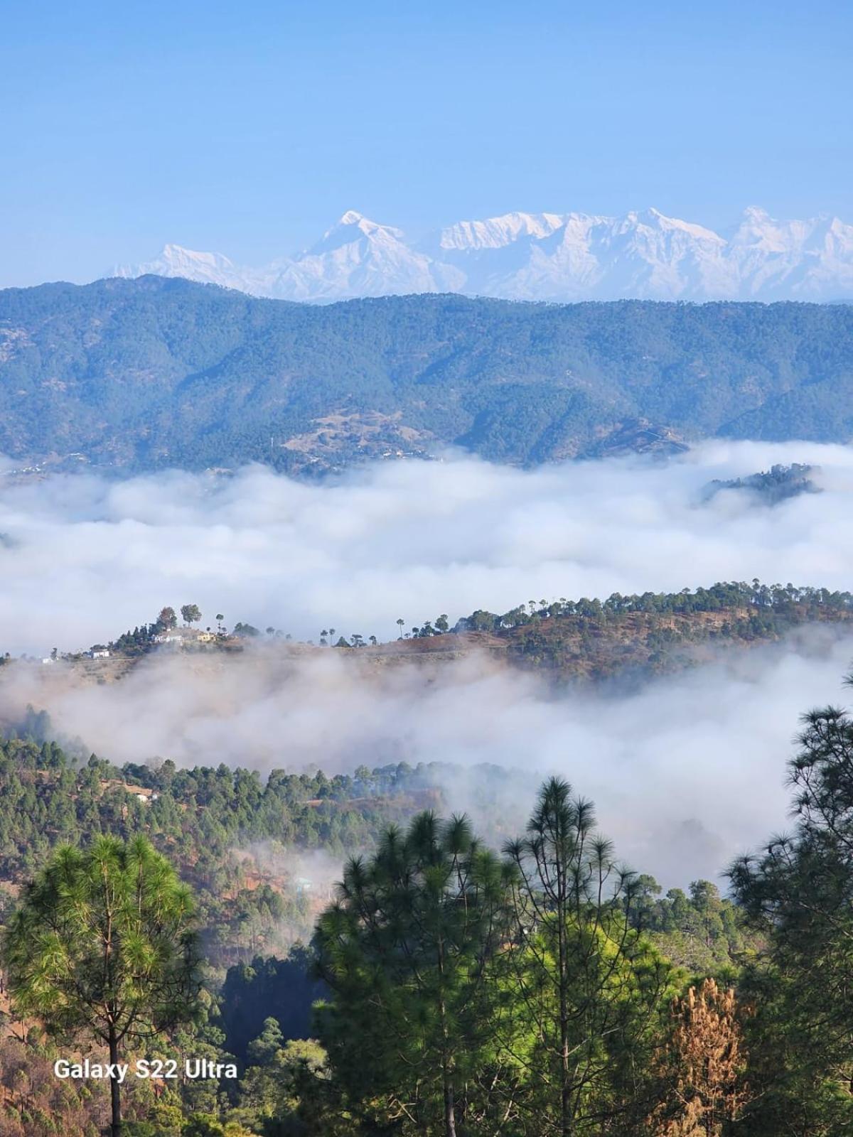 Nandini Cottage, A Premium Boutique Homestay Ranikhet Dış mekan fotoğraf